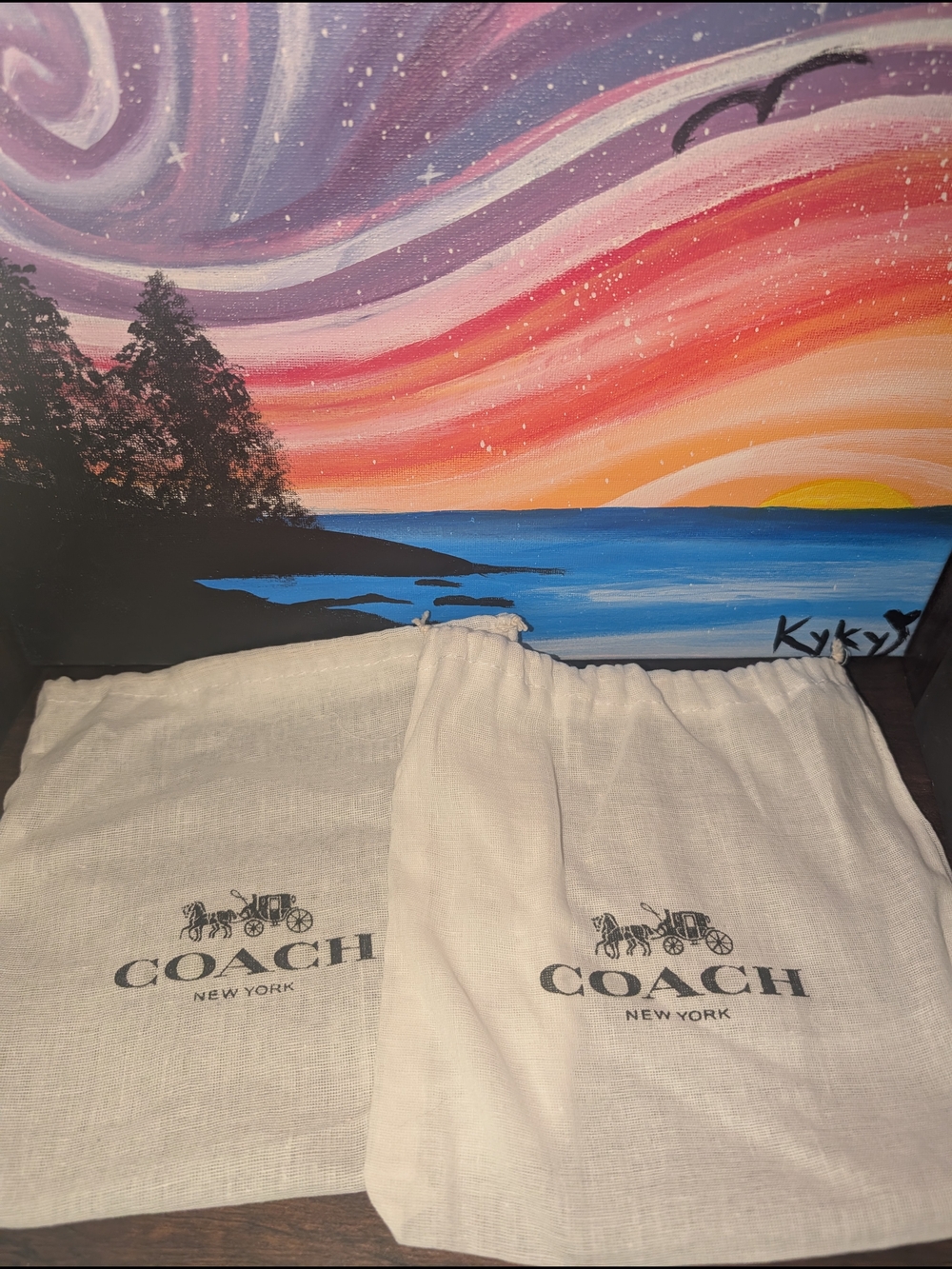 Coach Dust Bags, Box and Shopping Bag